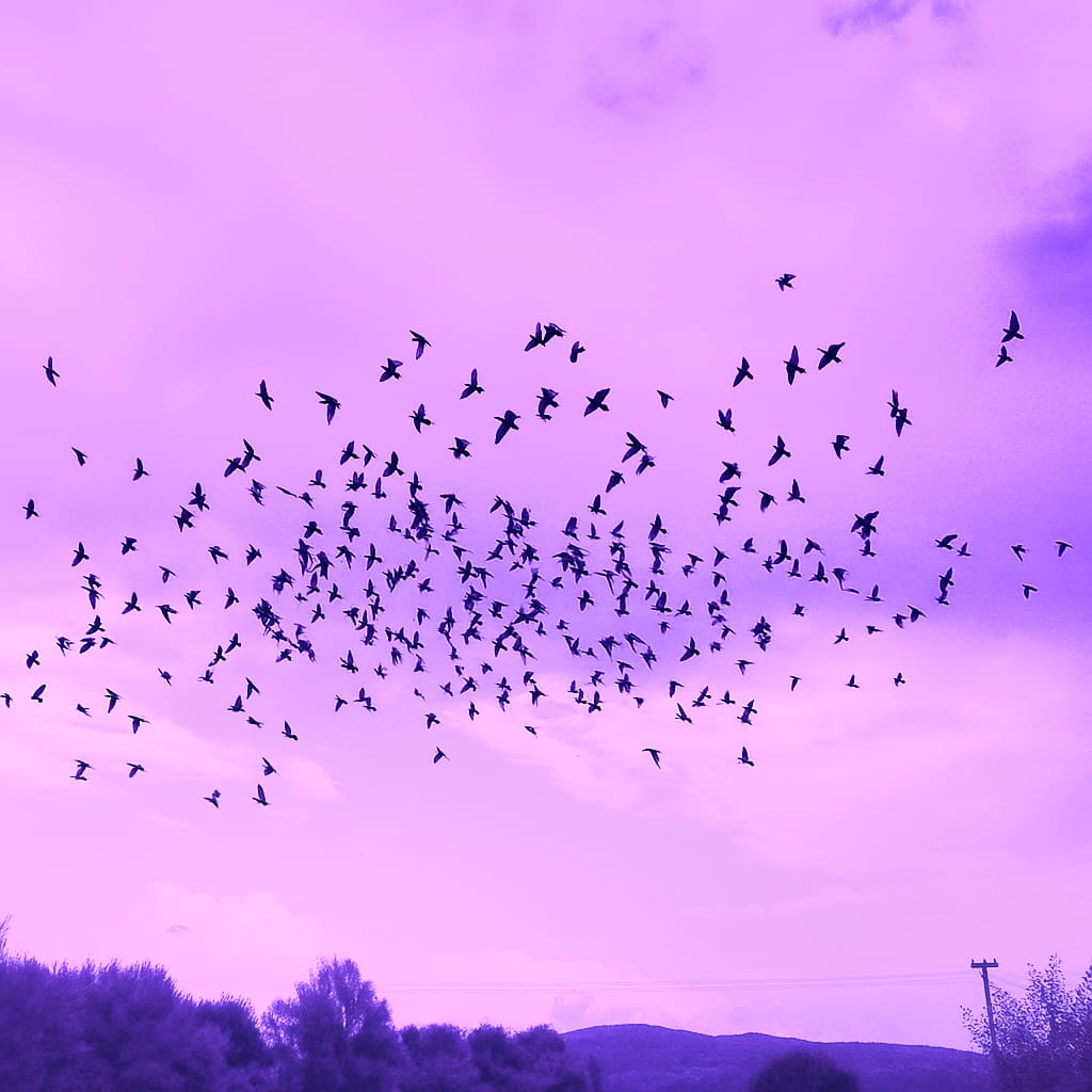 One Loft Race - Start