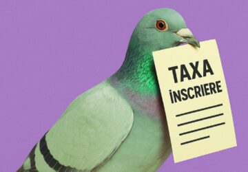 📢Taxa de inscriere