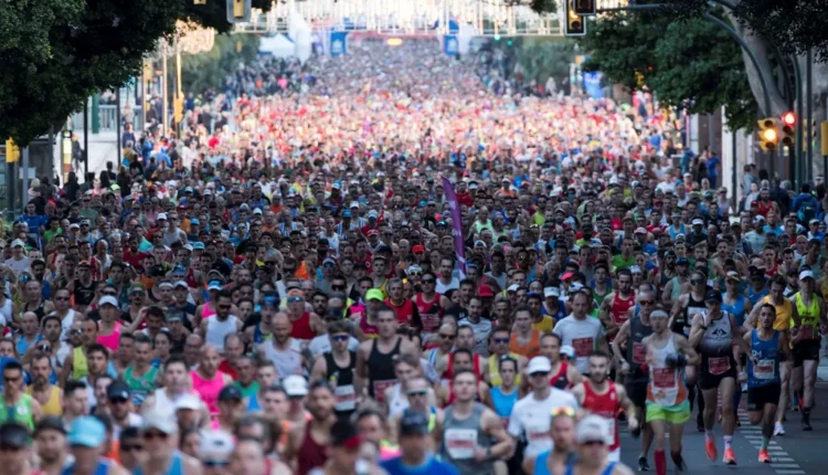 🔥 Echipe înscrise 🔥